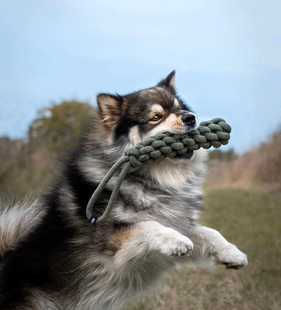 Wolf Republic Rope Toss Toy