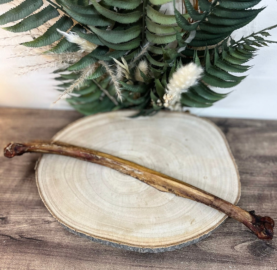 Ostrich Wing Bone