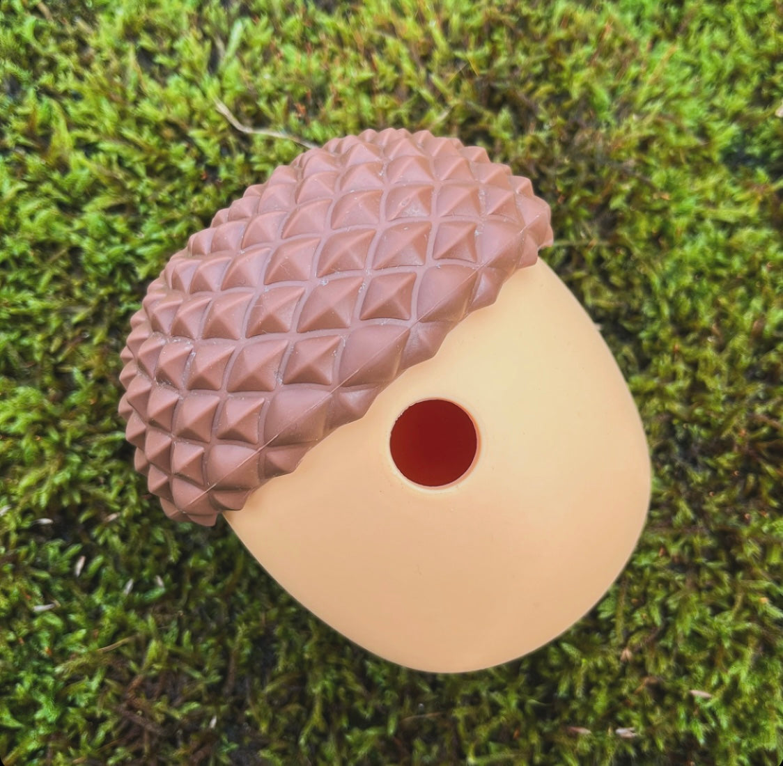 Acorn Enrichment Toy