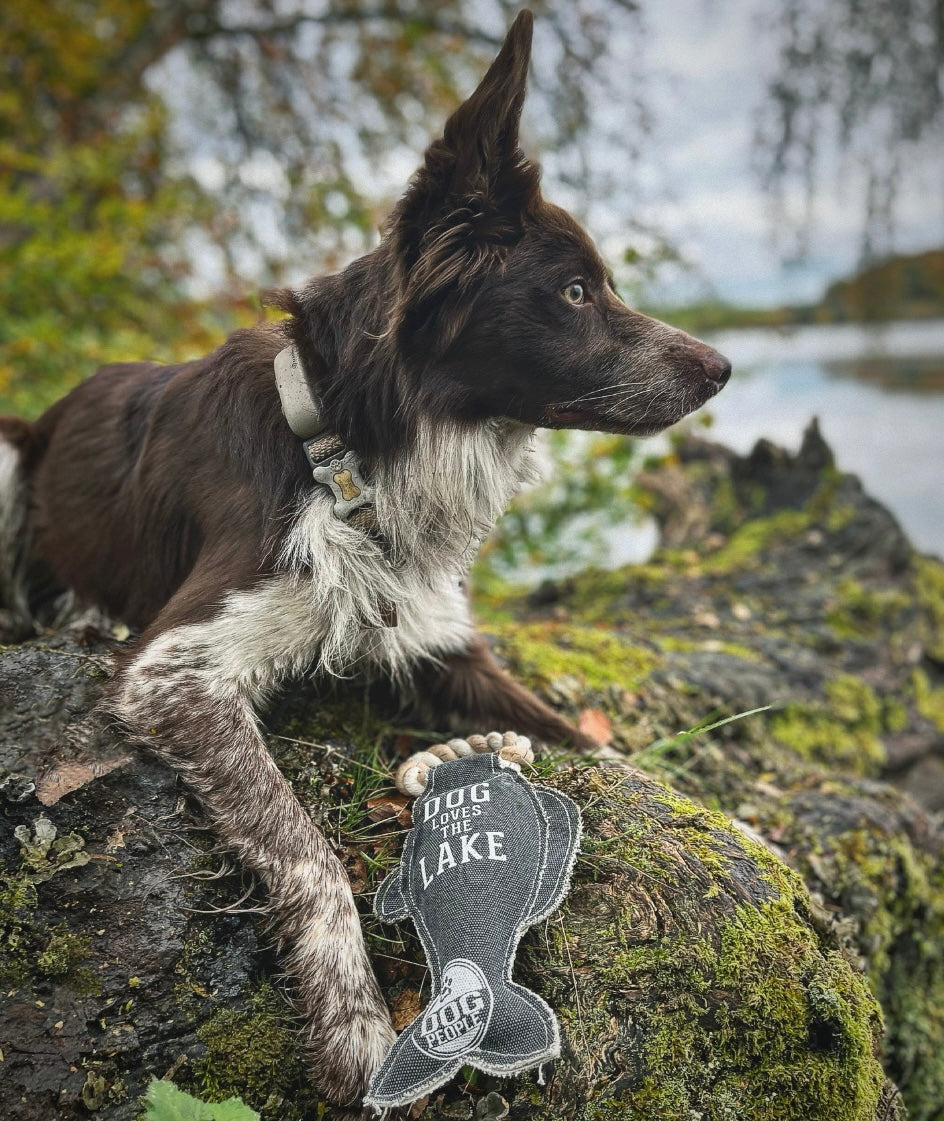 Lake Dog - Canvas & Rope Dog Toy 12"