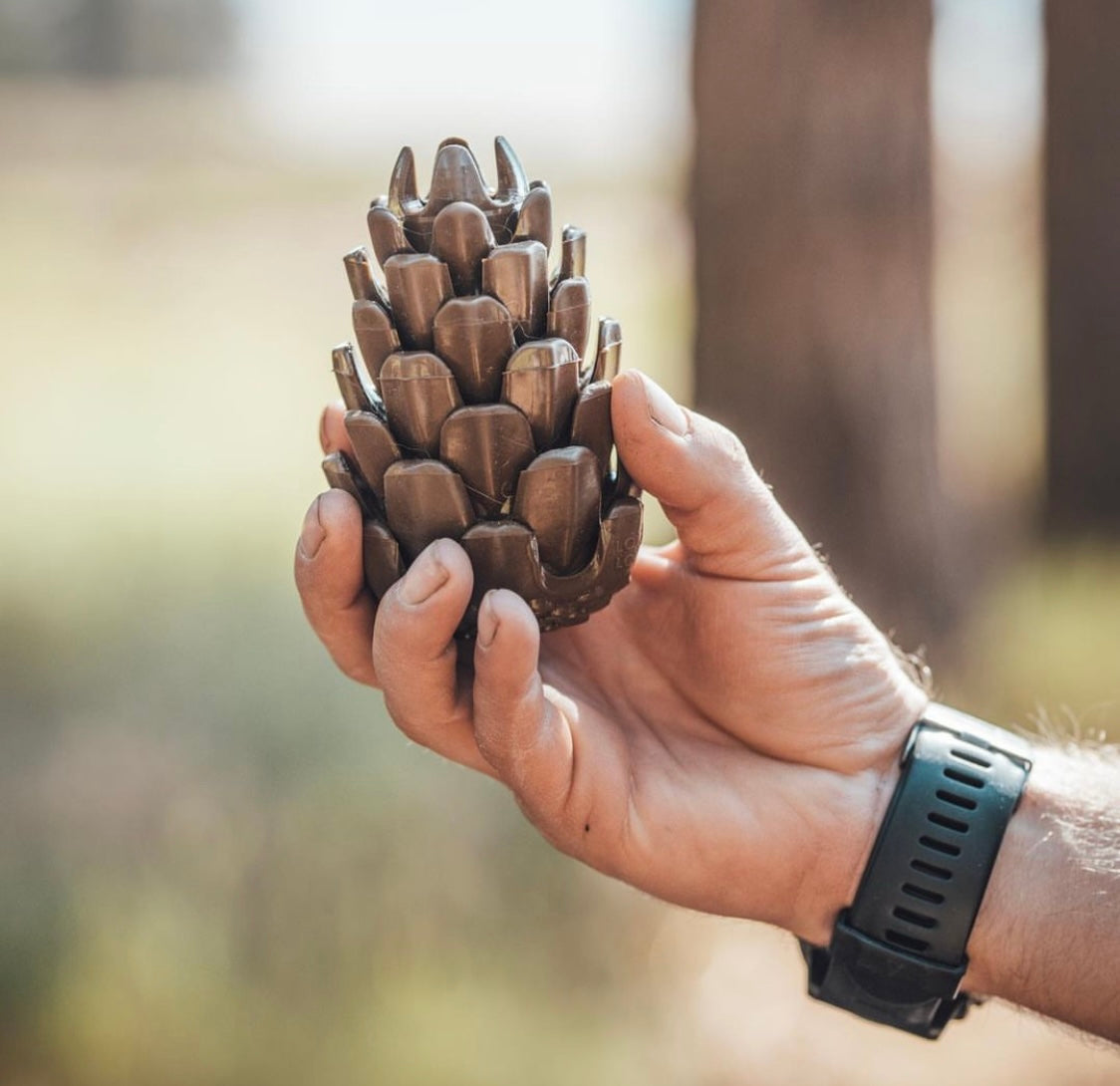 Loblolly Pinecone Puzzle Toy