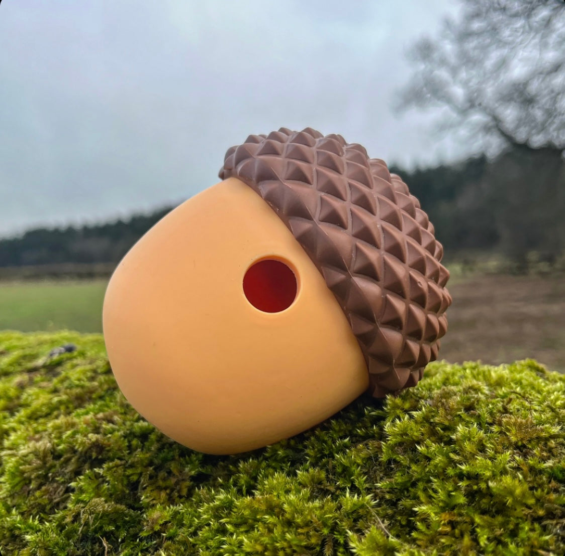 Acorn Enrichment Toy