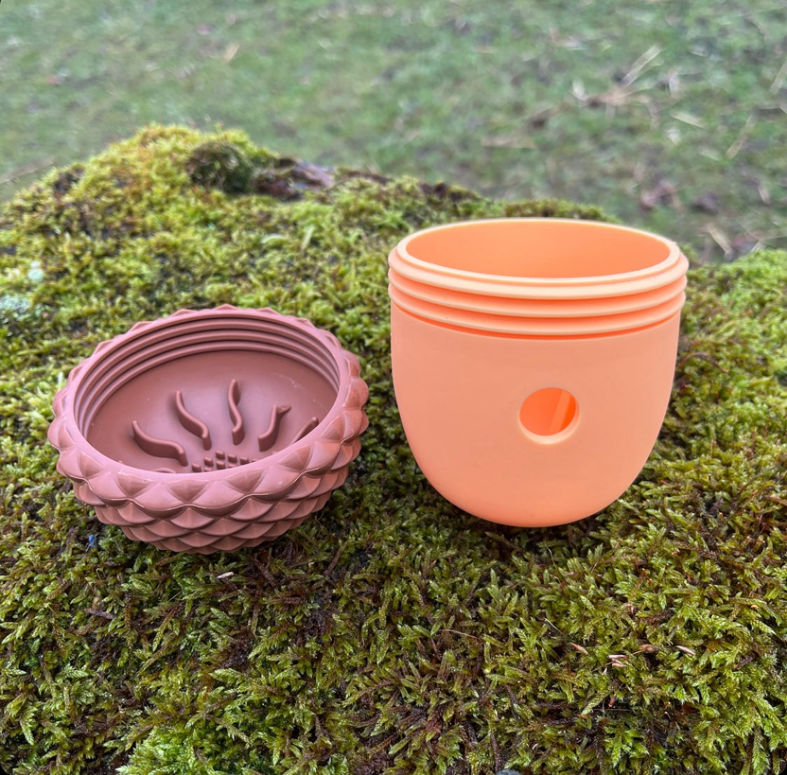 Acorn Enrichment Toy