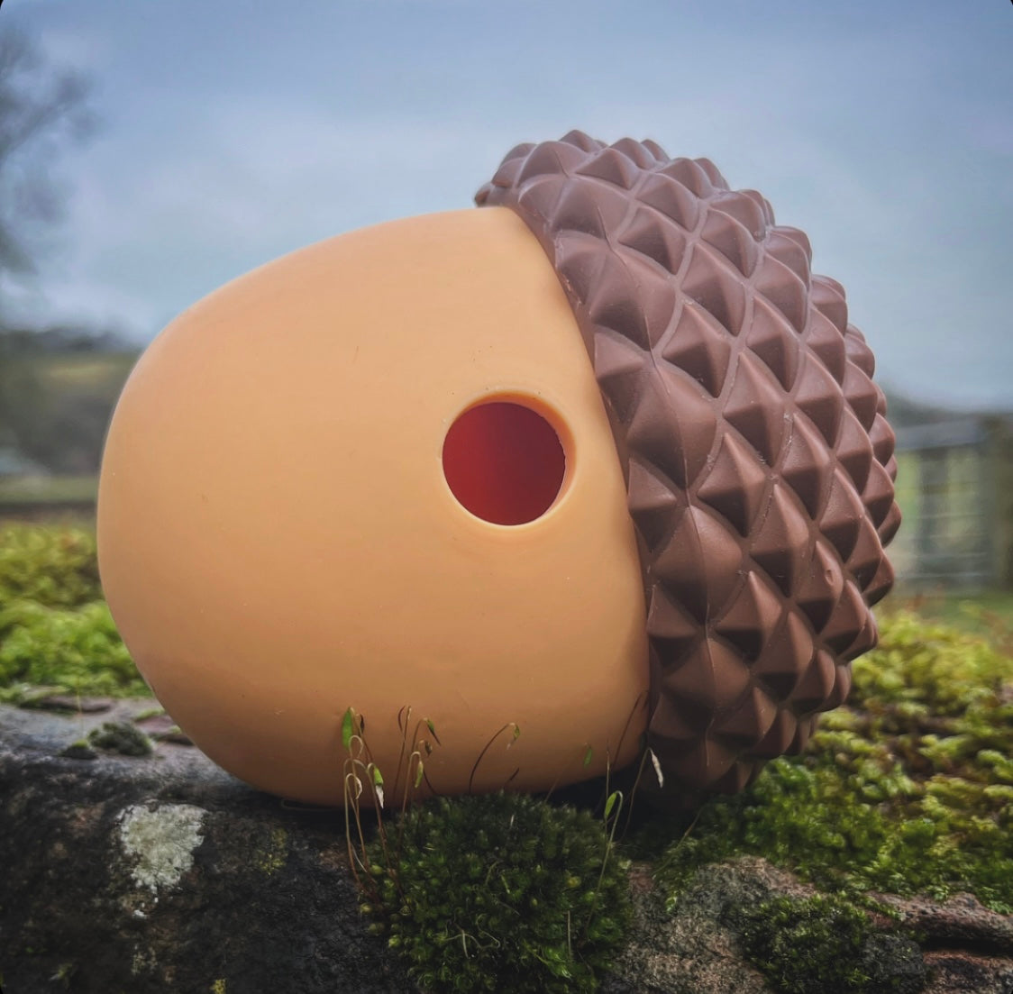 Acorn Enrichment Toy
