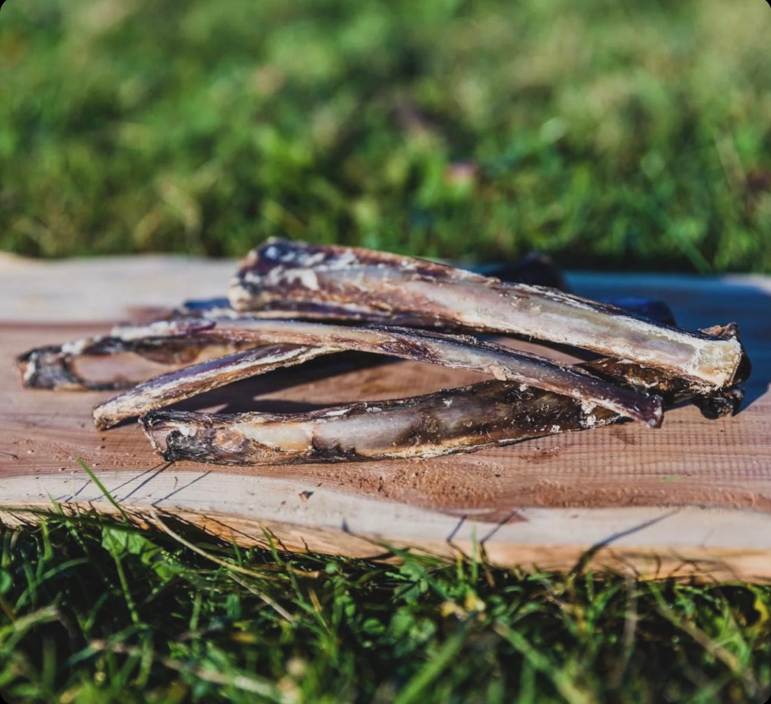 Wild Reindeer Ribs