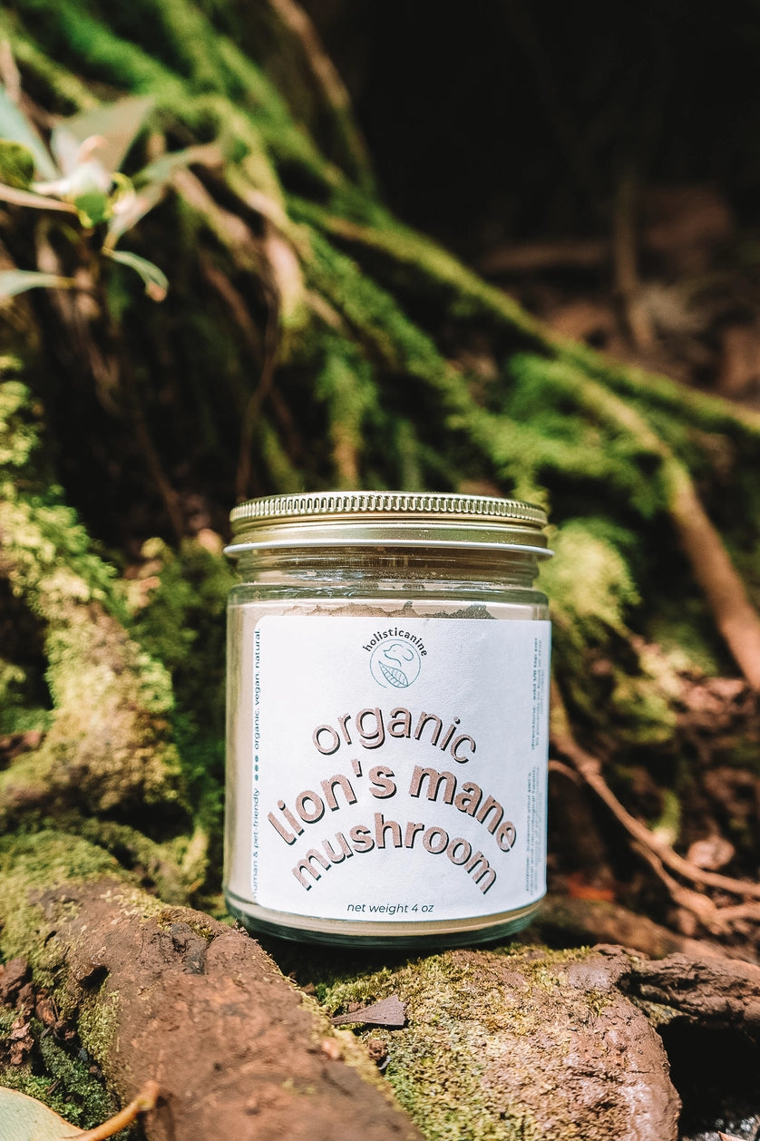 Organic Lions Mane Mushroom Supplement