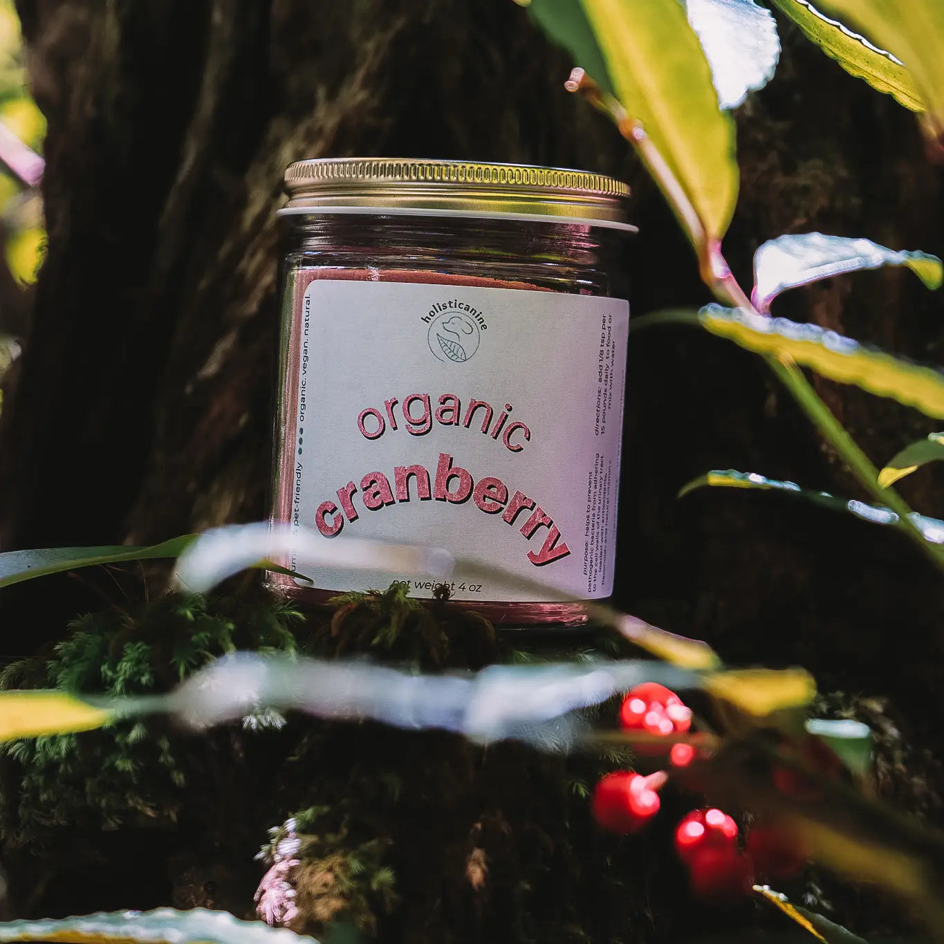Organic Cranberry Supplement